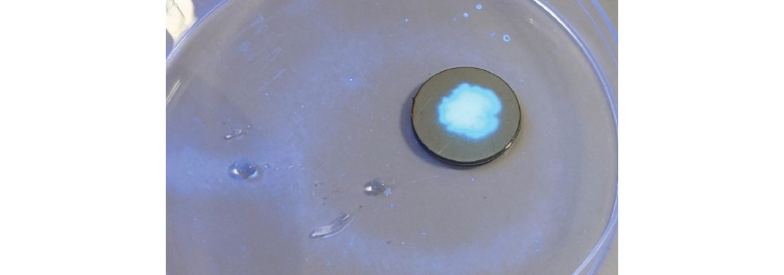 Rapid Bacteria Detection Results Gained Rapid Bacteria Detection Results Gained