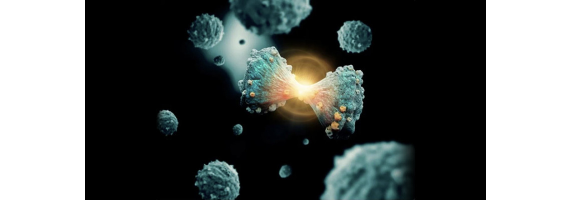 Drug Discovery Workflow for PROTAC with a Focus on Eliminating Bottlenecks In Evaporation Drug Discovery Workflow for PROTAC with a Focus on Eliminating Bottlenecks In Evaporation