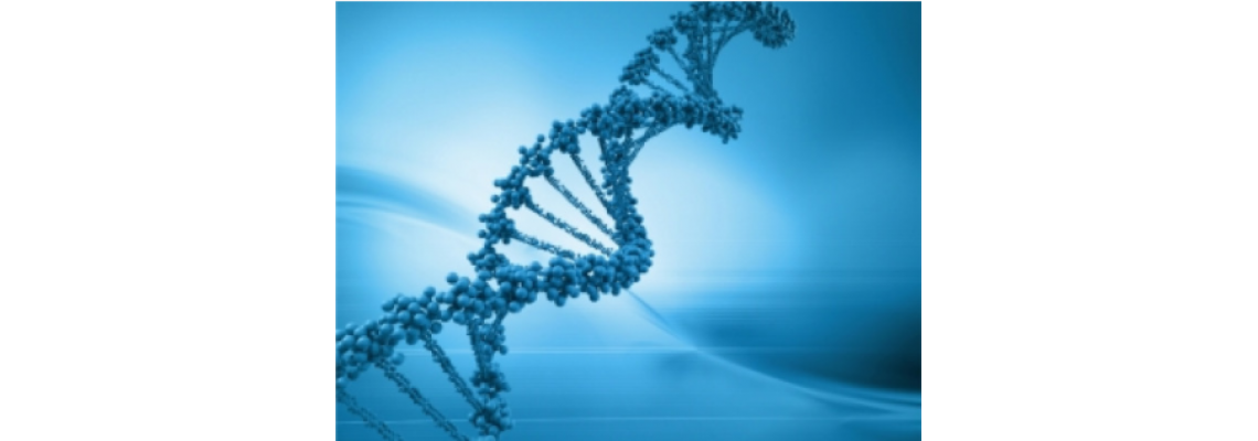 Accelerating Breakthroughs In Life Science Research