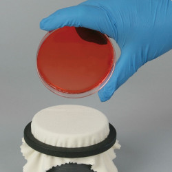 Bel-Art Colony Replica-Plating Device for Petri-Dishes