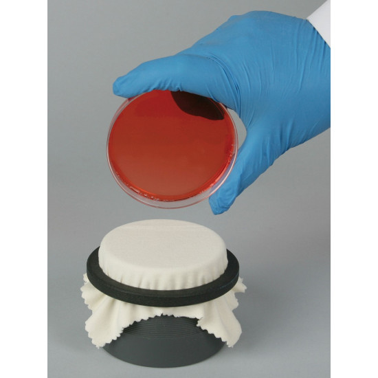 Bel-Art Colony Replica-Plating Device for Petri-Dishes Bel-Art Colony Replica-Plating Device for Petri-Dishes