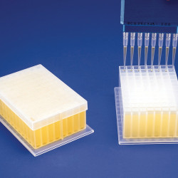 Bel-Art Deep-Well Plate; 96 Places, 2ml, Plastic, 5 x 3⅜ x 1⅝ in. (Pack of 24)