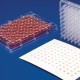 Bel-Art Colony Replicating Tool for 96-Well Plates (Bel-Blotter); Polycarbonate Bel-Art Colony Replicating Tool for 96-Well Plates (Bel-Blotter); Polycarbonate