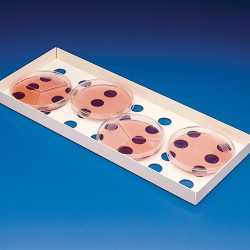 Bel-Art Petri Dish Incubation Tray; 13¾ x 5⅜ x ⅞ in., Steel